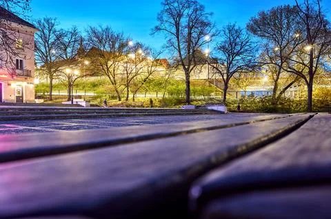 Park with a bench and trees in the background Stock Photos