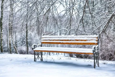 Park bench and trees covered by heavy snow Stock Photos