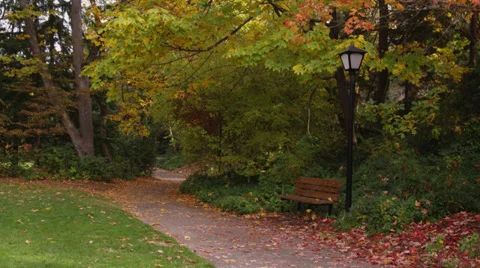Park Bench in Autumn Stock Footage
