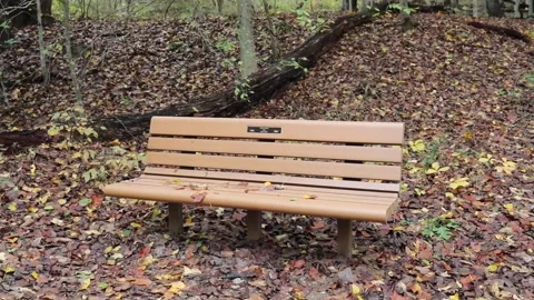 Park bench in autumn Video stock 164124499