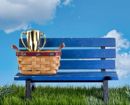 Park bench awards. Stock Photos