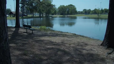 Park bench at city park Stock Footage 196295304