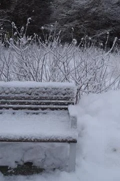 Park bench covered with deep layer of fresh snow in winter Stockfoto's