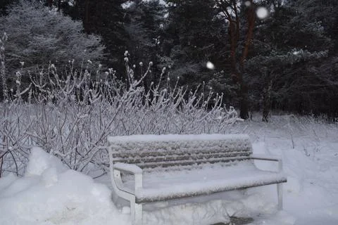 Park bench covered with deep layer of fresh snow in winter Photos