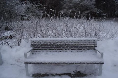Park bench covered with deep layer of fresh snow in winter Fotos de archivo