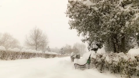 Park bench covered with snow Stock-Footage 79798829