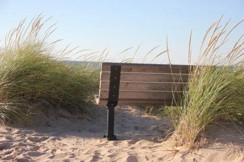 Park bench in dune grass Stock Photos