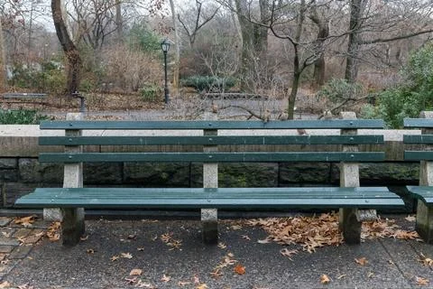 A park bench is empty and covered in leaves Stock Photos