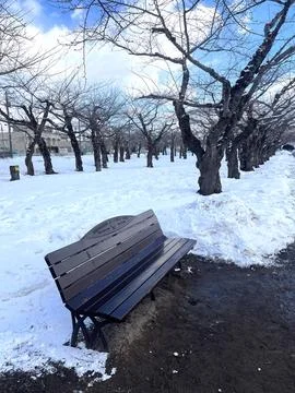 The park bench is empty Stock Photos