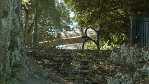Park bench in fall.  Leaves in foreground. Ominous and foreboding.  Very 動画素材 128970758