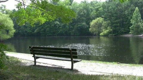 Park bench Video stock 483002