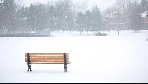 Park bench Stock-Footage 8554944