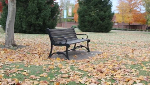 Park bench Vidéo 8948177