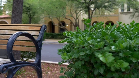 Park bench Stock Footage 92286338