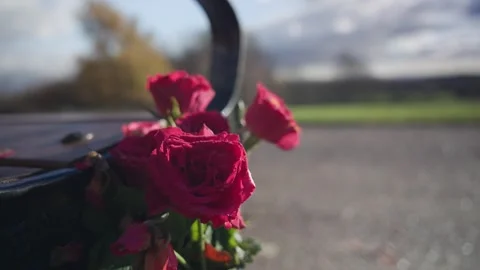 Park Bench Stock Footage 256161281