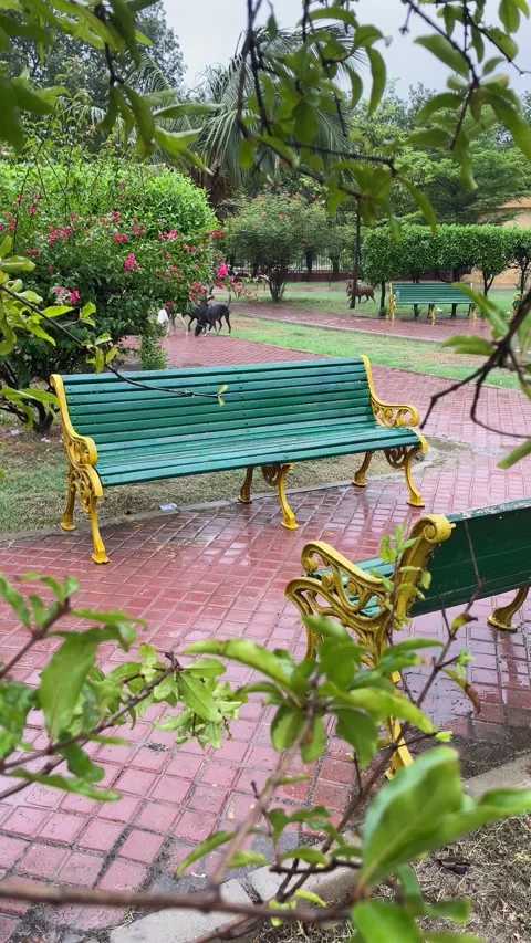 The park bench Stock Footage 280641374