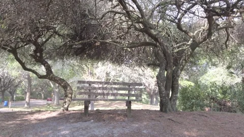 Park Bench Front View Sawgrass Park Saint Petersburg, Florida. Stock Footage 238651887