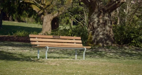 Park Bench on grass under Cherry Blossom Trees Video stock 129857774