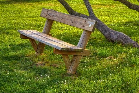 Park bench in the green Stock Photos