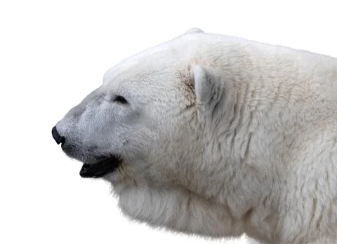 Park bench isolated on a white background Stock Photos