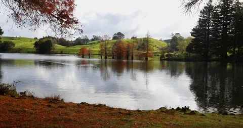 Park bench looks over pristine lake whilst ducks swim past Stock Footage 90081332