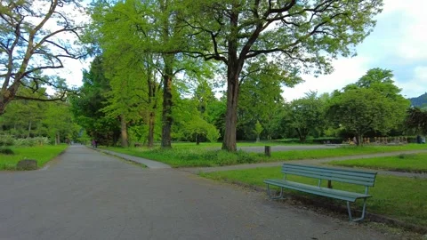 Park bench next to ancient trees in a memorial garden Stock Footage 335421946