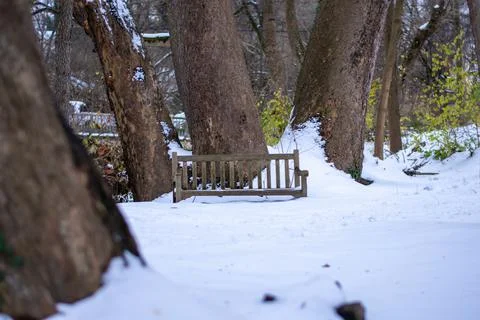 A Park Bench Next to a Tree in a Park Covered in Snow Foto stock