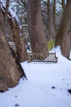 A Park Bench Next to a Tree in a Park Covered in Snow Stock Photos