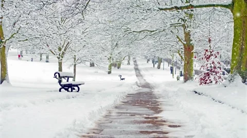 Park Bench by a Pathway During a Snow Storm Stock-Footage 58149098