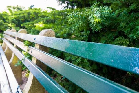 Park bench in perspective Stock Photos
