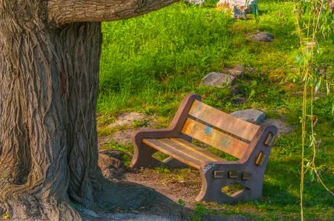 Park bench Stock Photos
