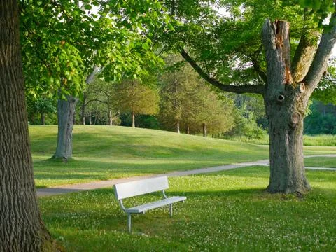 Park Bench Stock Photos