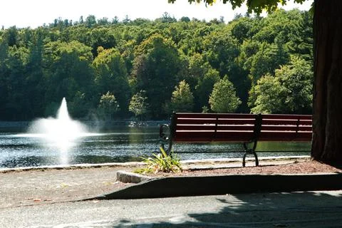 Park Bench Stock Photos