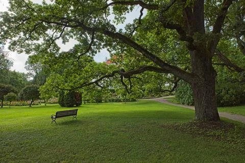 Park bench. Stock Photos