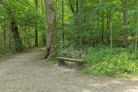 Park bench. Stock Photos