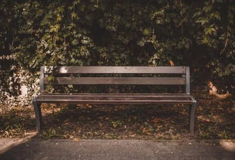 Park bench in the rays of the setting sun Stock Photos
