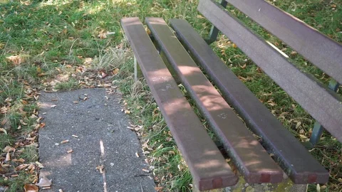 Park bench in the shade in a meadow Stock Footage 115418163