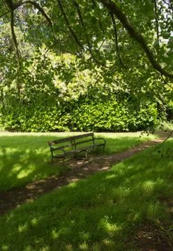 Park bench in the shade Stock Photos