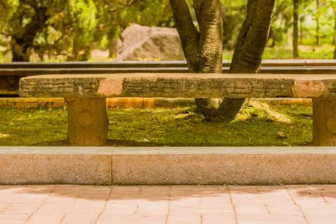 Park bench in shade of tree Stock Photos
