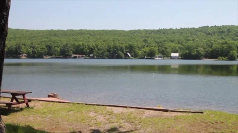 A park bench sits on a lakeshore. Stock Footage 329800895