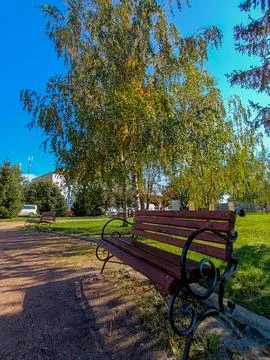 A park bench sitting in the middle of a grassy area next to a tree Stock Photos