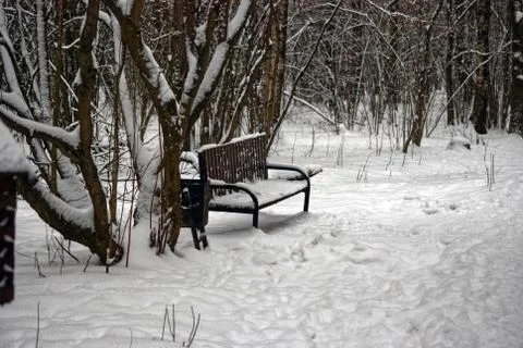 Park bench in the snow Stock Photos