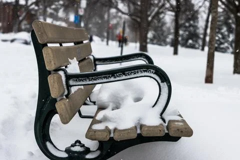 Park bench in the snow Stock Photos