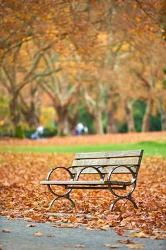 Park Bench Solitude 스톡 사진