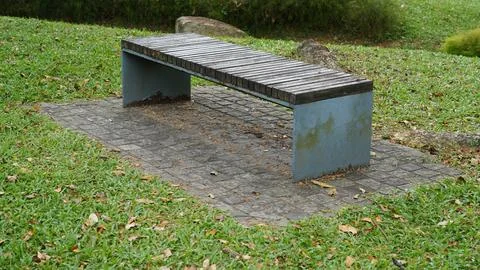 Park Bench on Stone Path Surrounded by Green Grass Stock Photos