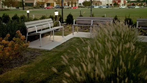 PARK BENCH ON A SUMMER EVENING 스톡 동영상 105257726