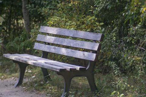 Park bench in the sun Stock Photos