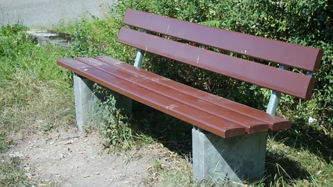 Park bench in the sun under trees Stock Footage 116241490