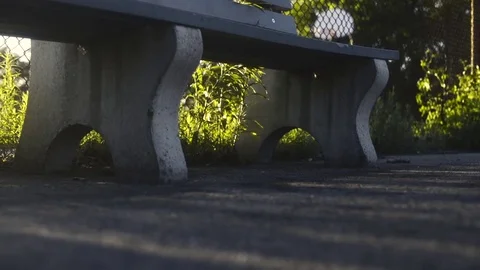 Park Bench at Sunset Stock Footage 71210893