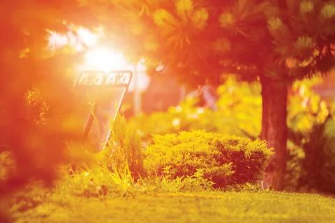 Park bench in sunset Stock Photos